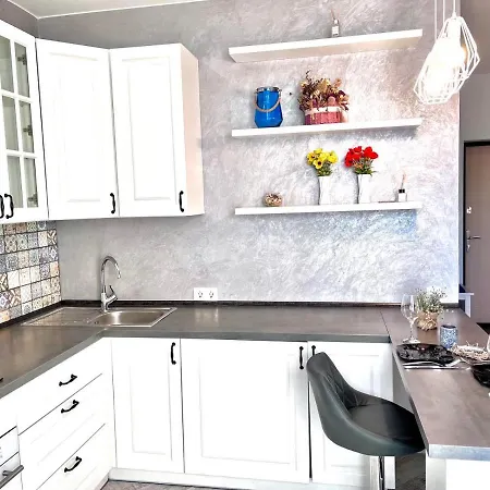 In Citycenter On Repina 4 Apartment *