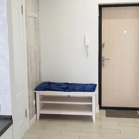 Apartment In Citycenter On Repina 4