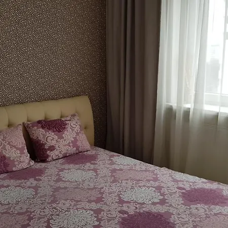 Apartment In Citycenter On Repina 4 *